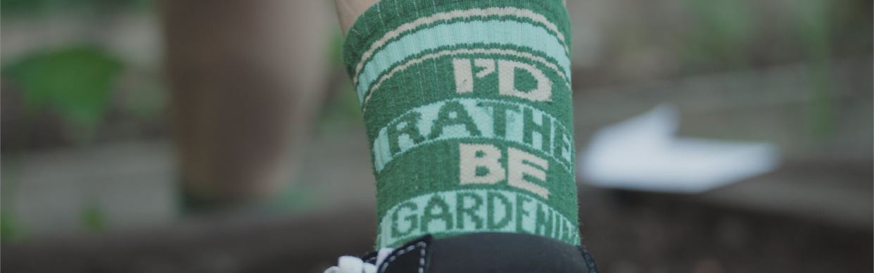 Lessons From Our Garden