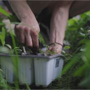 Lessons From Our Garden